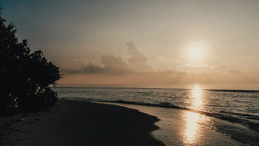 Sunset over a tropical beach in the Maldives with golden sky, palm trees, and calm ocean waves.